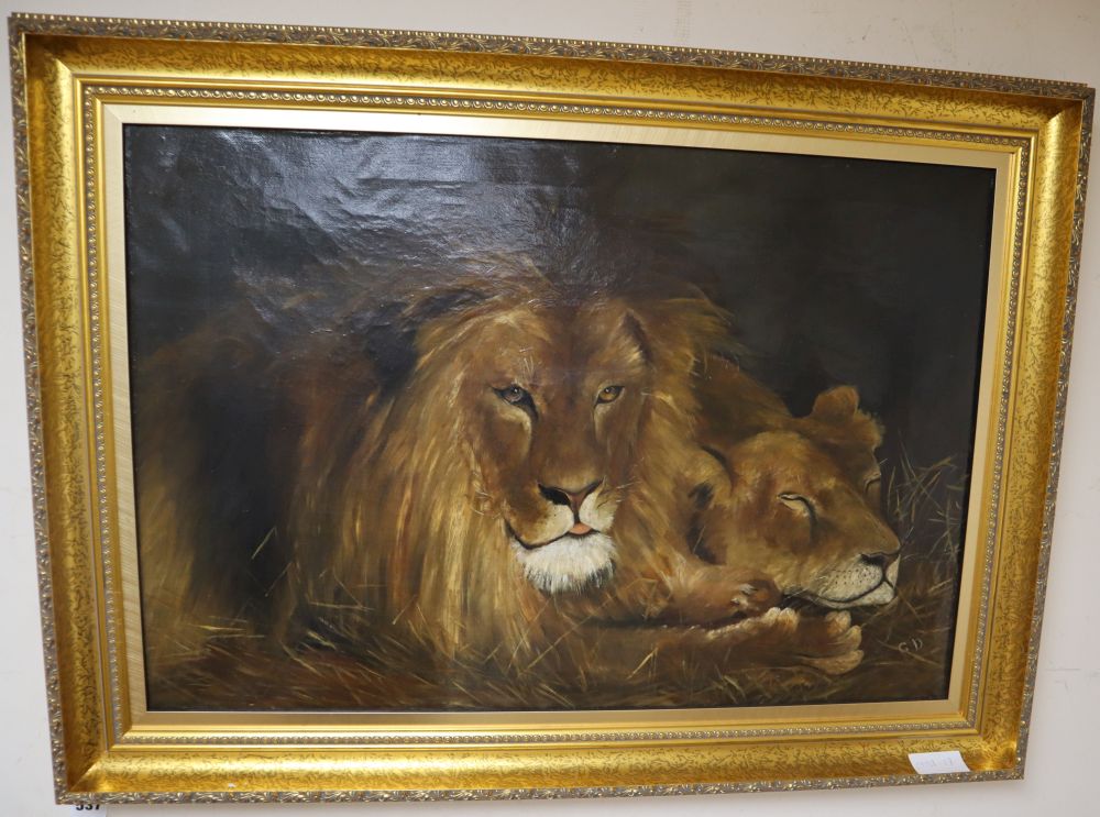 After Herbert Dicksee, oil on canvas, Study of lions, initialled GD, 48 x 71cm